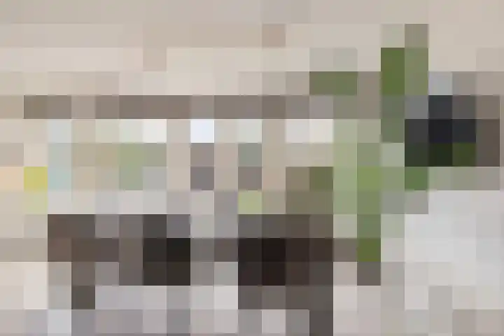 de Gaard 9 Bemmel foto 3