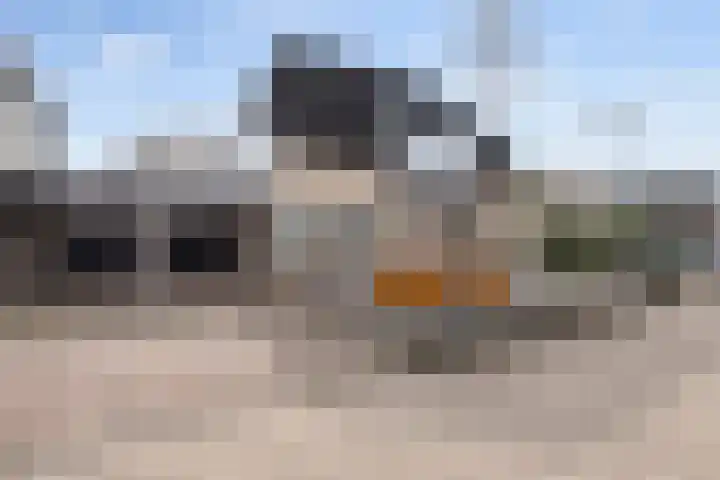 de Gaard 9 Bemmel thumbnail 30