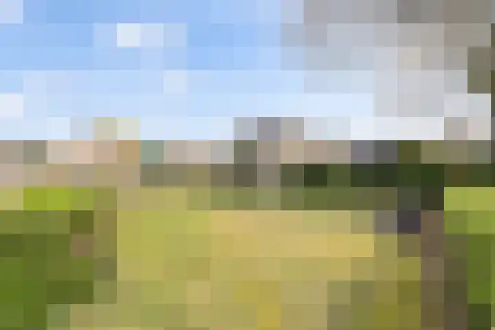 de Gaard 9 Bemmel thumbnail 33