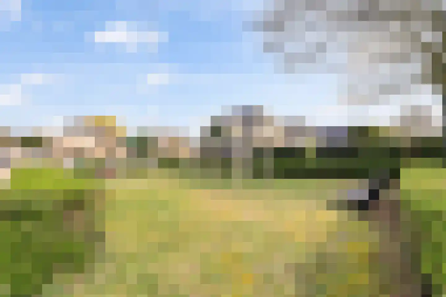 de Gaard 9 Bemmel thumbnail 33