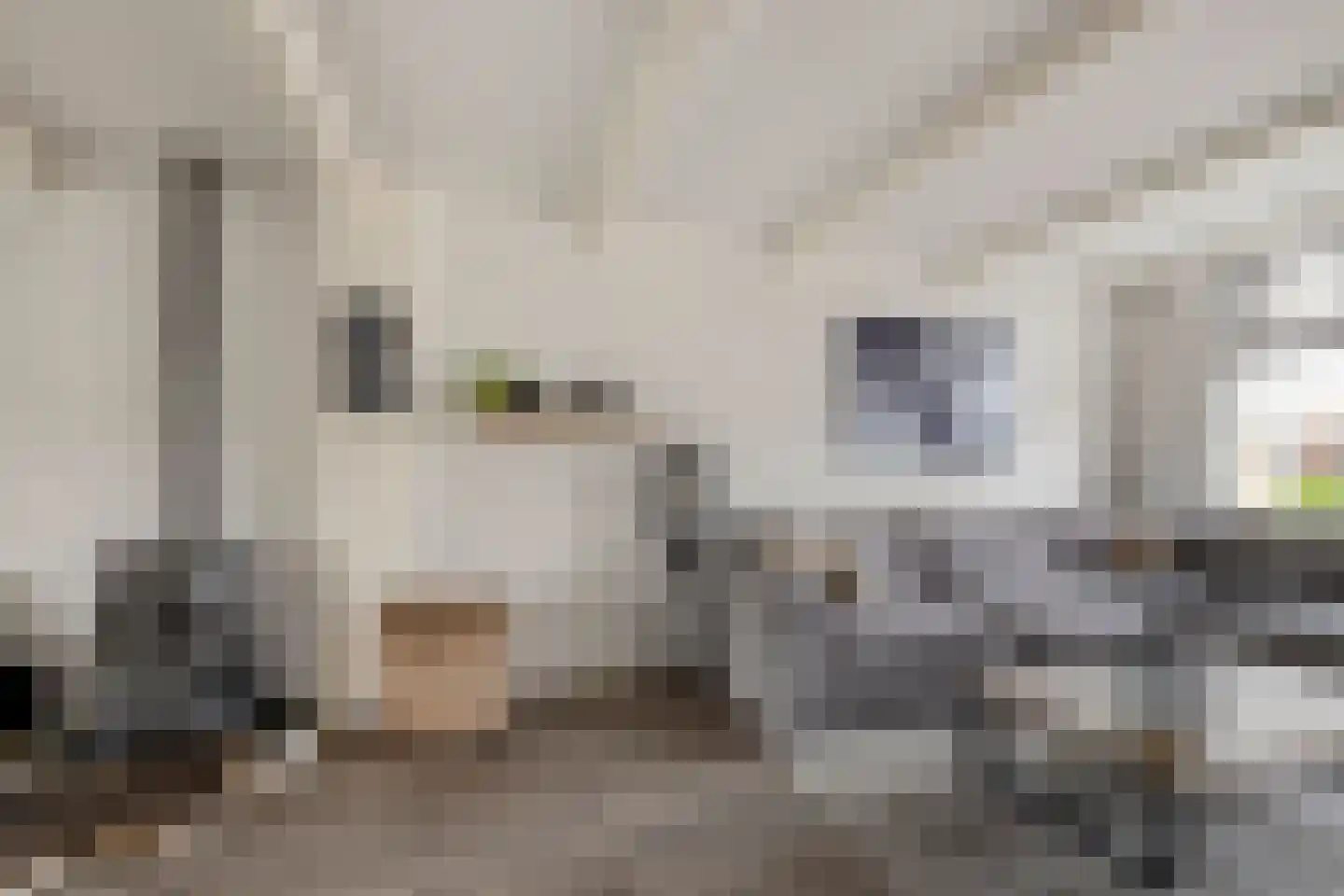 de Gaard 9 Bemmel thumbnail 7