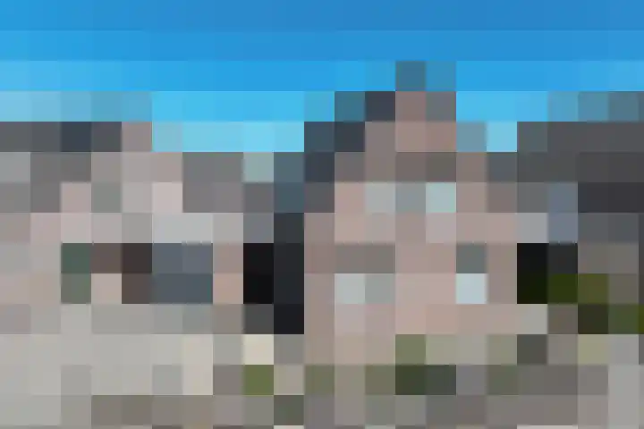 De Gaard 91 Afferden