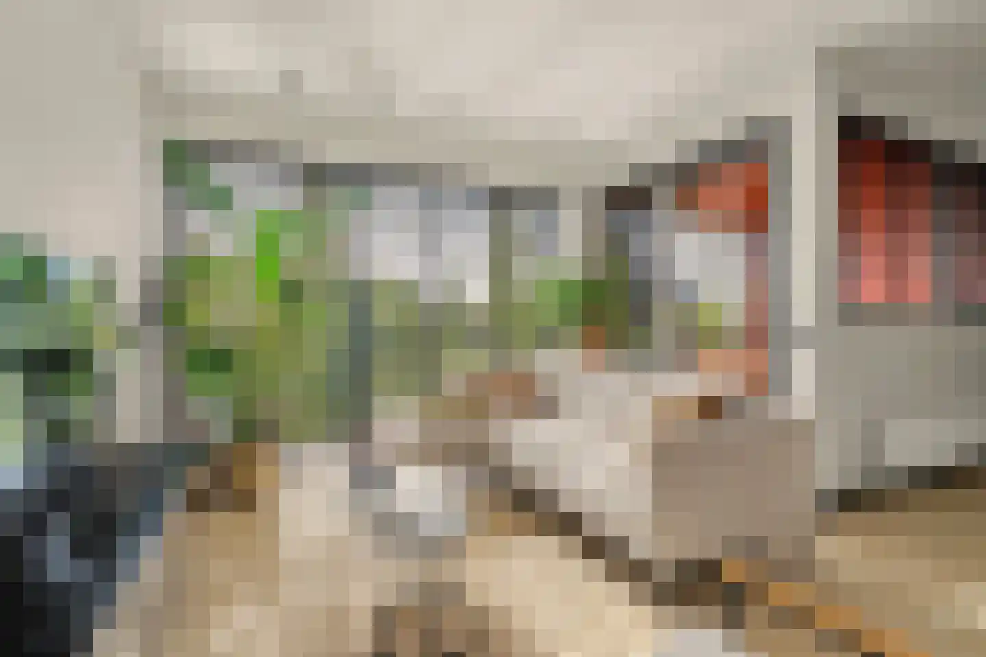 De Gaard 94 Waalwijk thumbnail 11