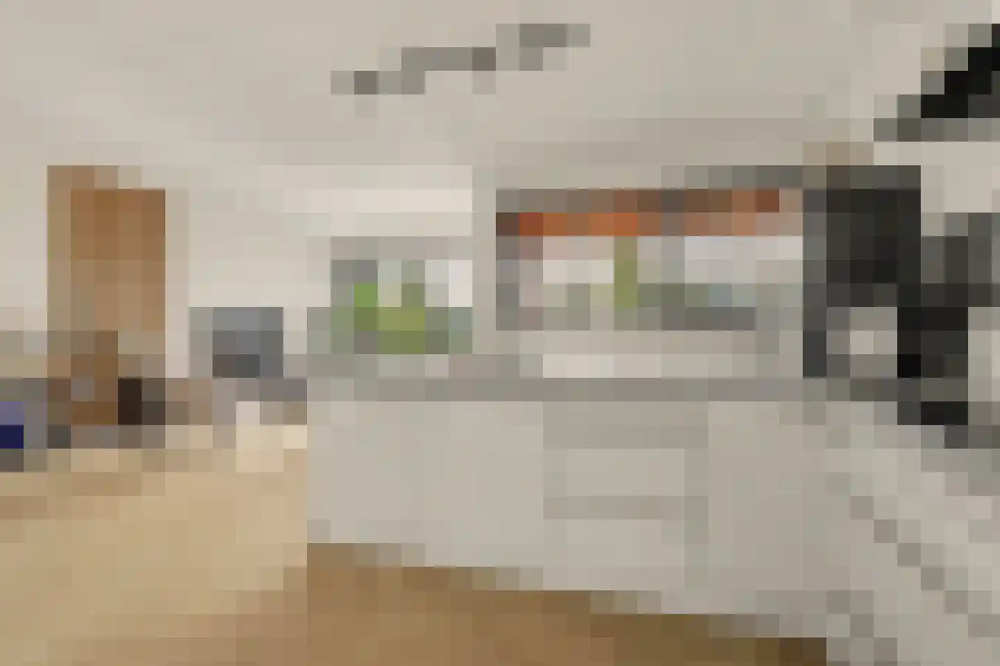 De Gaard 94 Waalwijk thumbnail 16