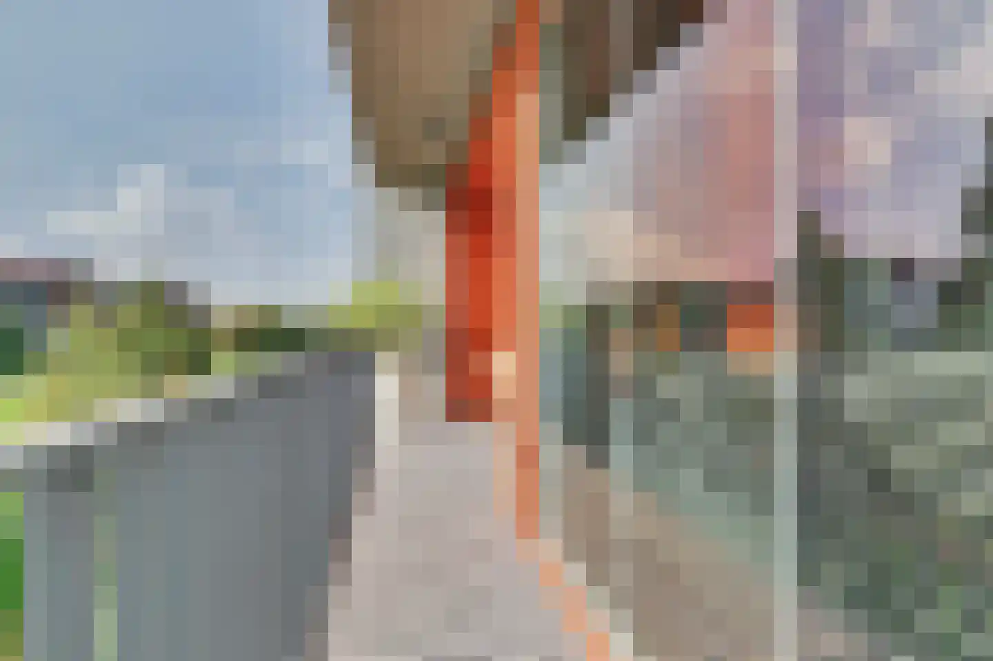 De Gaard 94 Waalwijk thumbnail 26