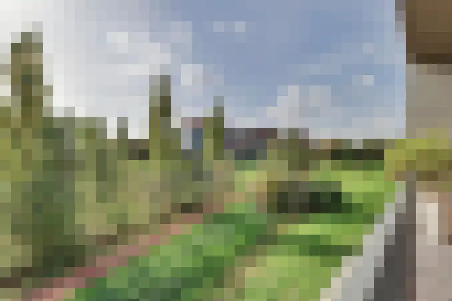 De Gaard 94 Waalwijk thumbnail 32