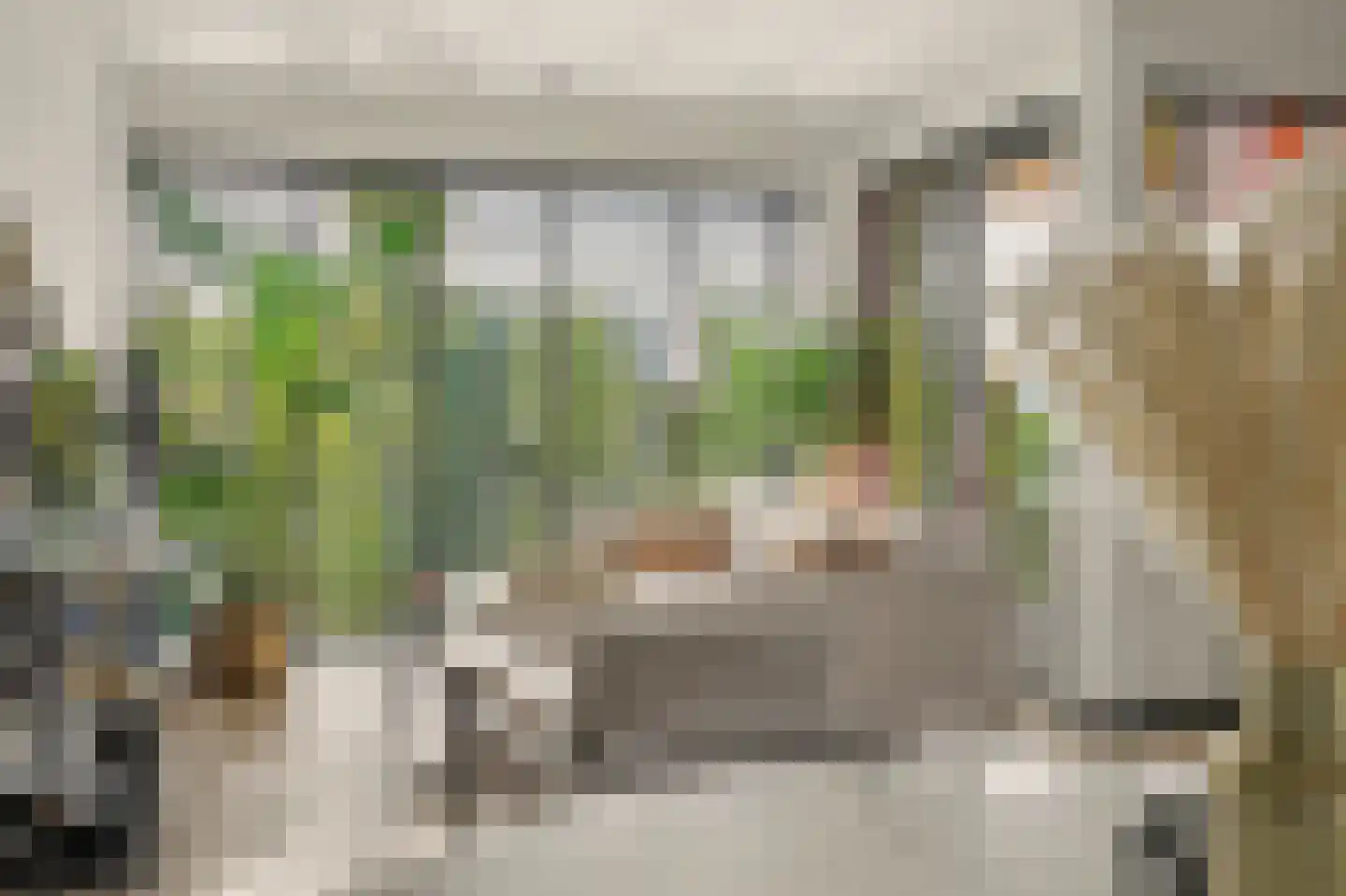 De Gaard 94 Waalwijk thumbnail 4