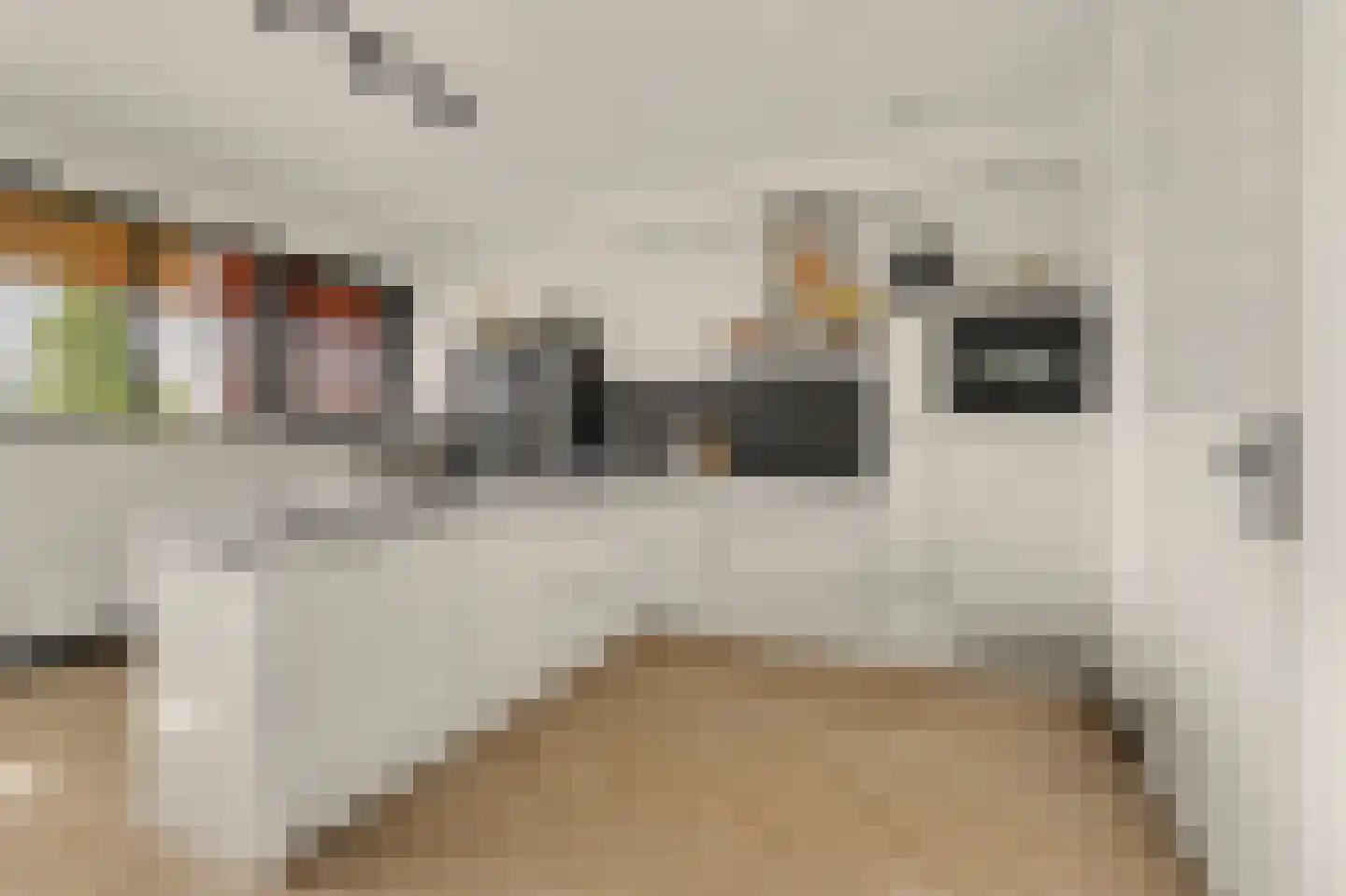 De Gaard 94 Waalwijk thumbnail 5