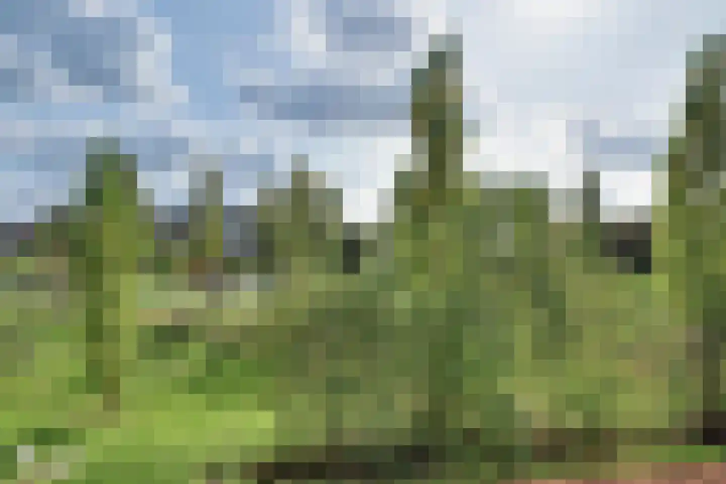 De Gaard 94 Waalwijk thumbnail 7