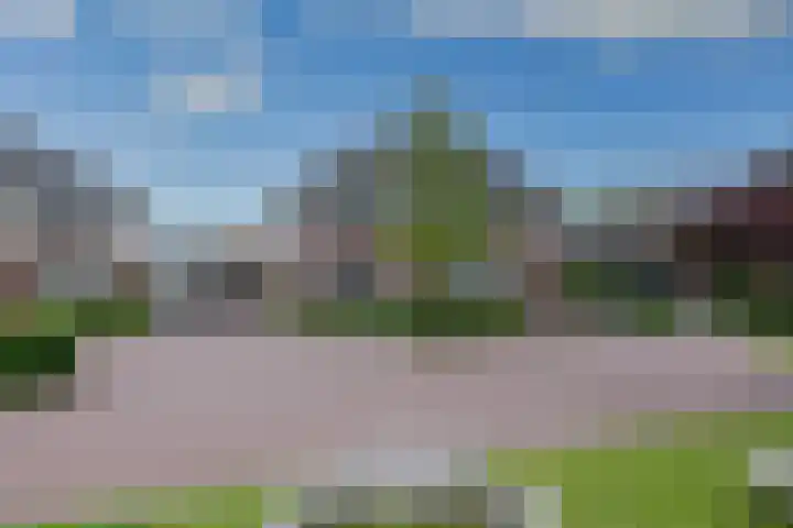 De Gaarde 15 Assen foto 3