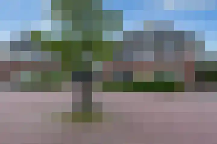 De Gaarde 15 Assen thumbnail 4
