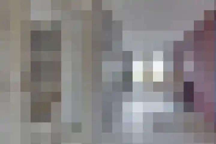 De Gaarde 15 Assen thumbnail 9