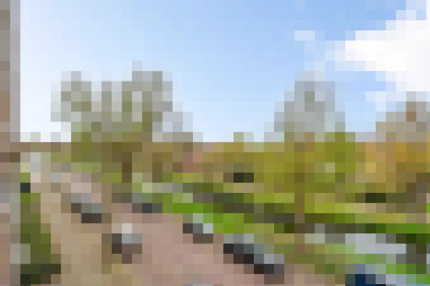 De Gaarde 150 Den Haag thumbnail 27
