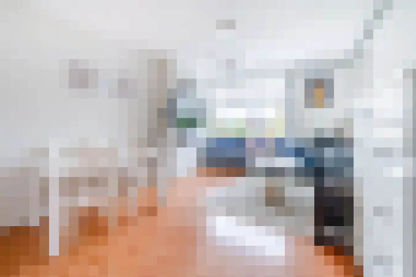 De Gaarde 150 Den Haag thumbnail 9