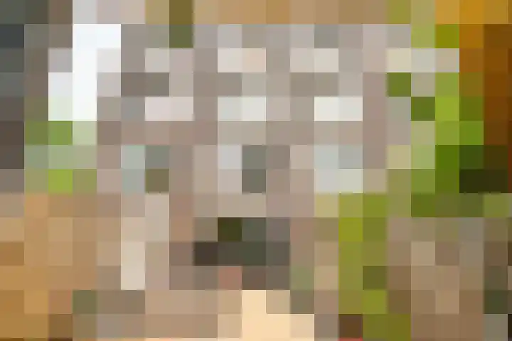 De Gaarde 246 Den Haag foto 2