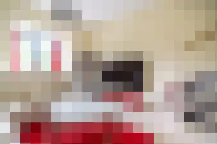 De Gaarde 246 Den Haag thumbnail 9