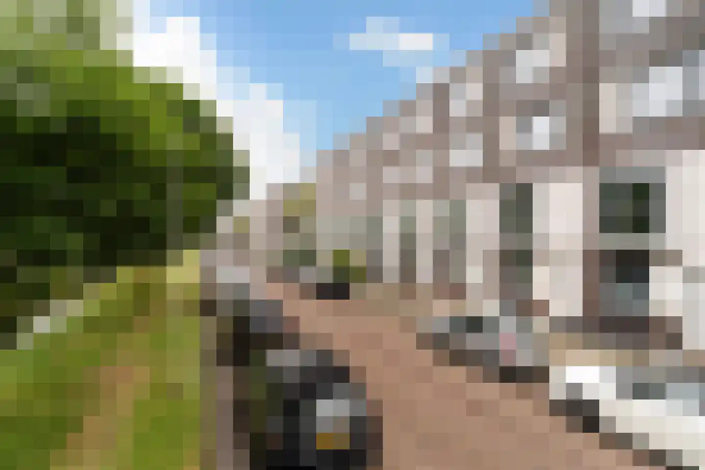De Gaarde 298 in Den Haag