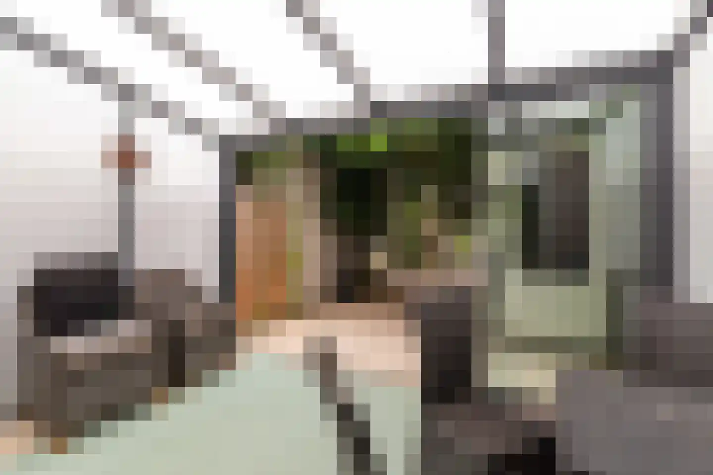 De Gaarde 298 Den Haag thumbnail 12