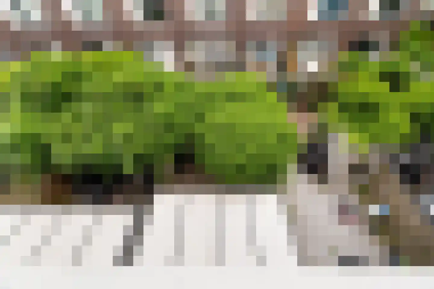 De Gaarde 298 Den Haag thumbnail 16