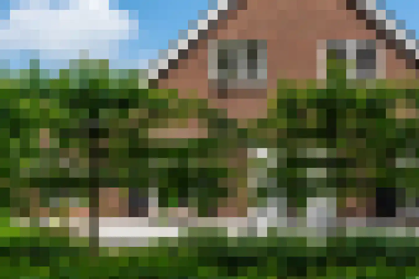 de Gaarde 315 Doetinchem thumbnail 12