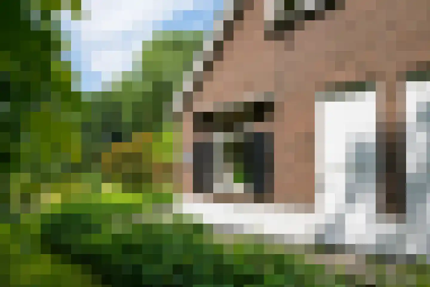 de Gaarde 315 Doetinchem thumbnail 13