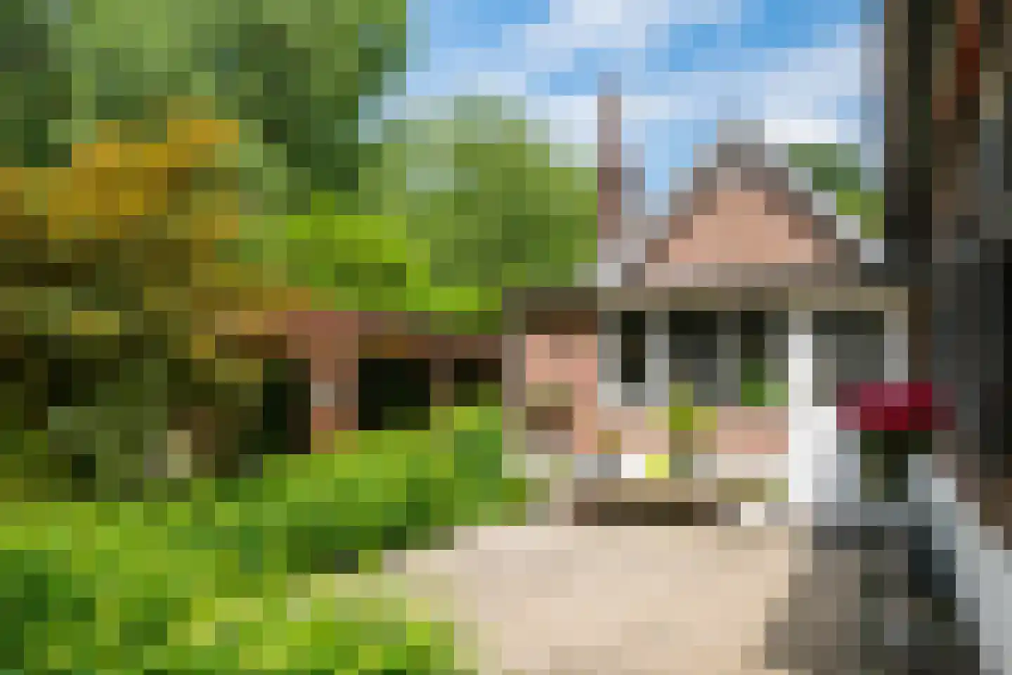 de Gaarde 315 Doetinchem thumbnail 15
