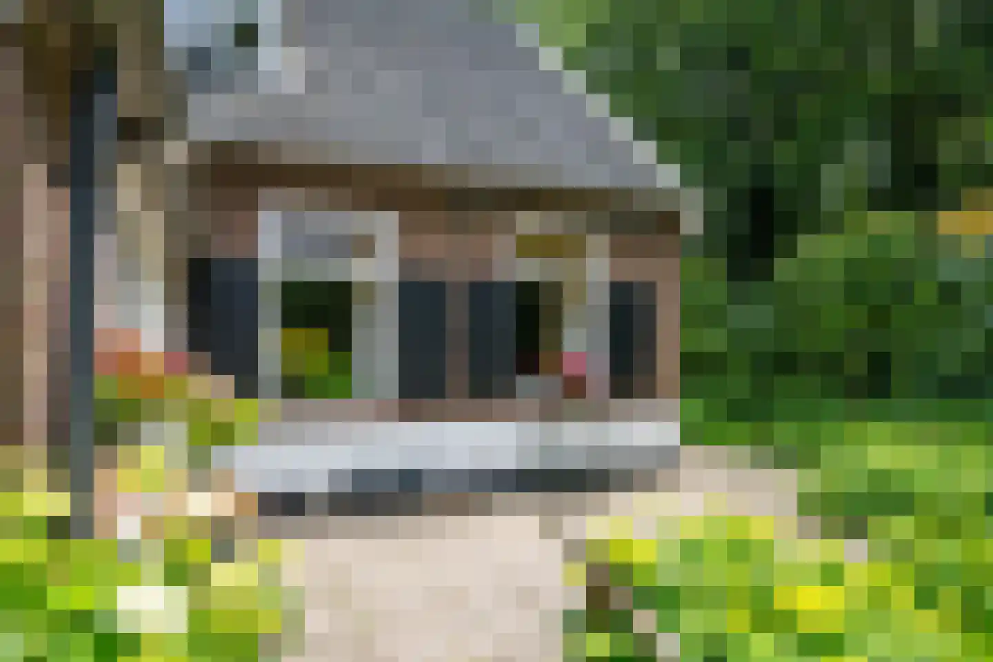 de Gaarde 315 Doetinchem thumbnail 18