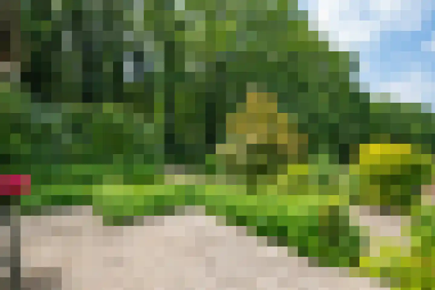 de Gaarde 315 Doetinchem thumbnail 19
