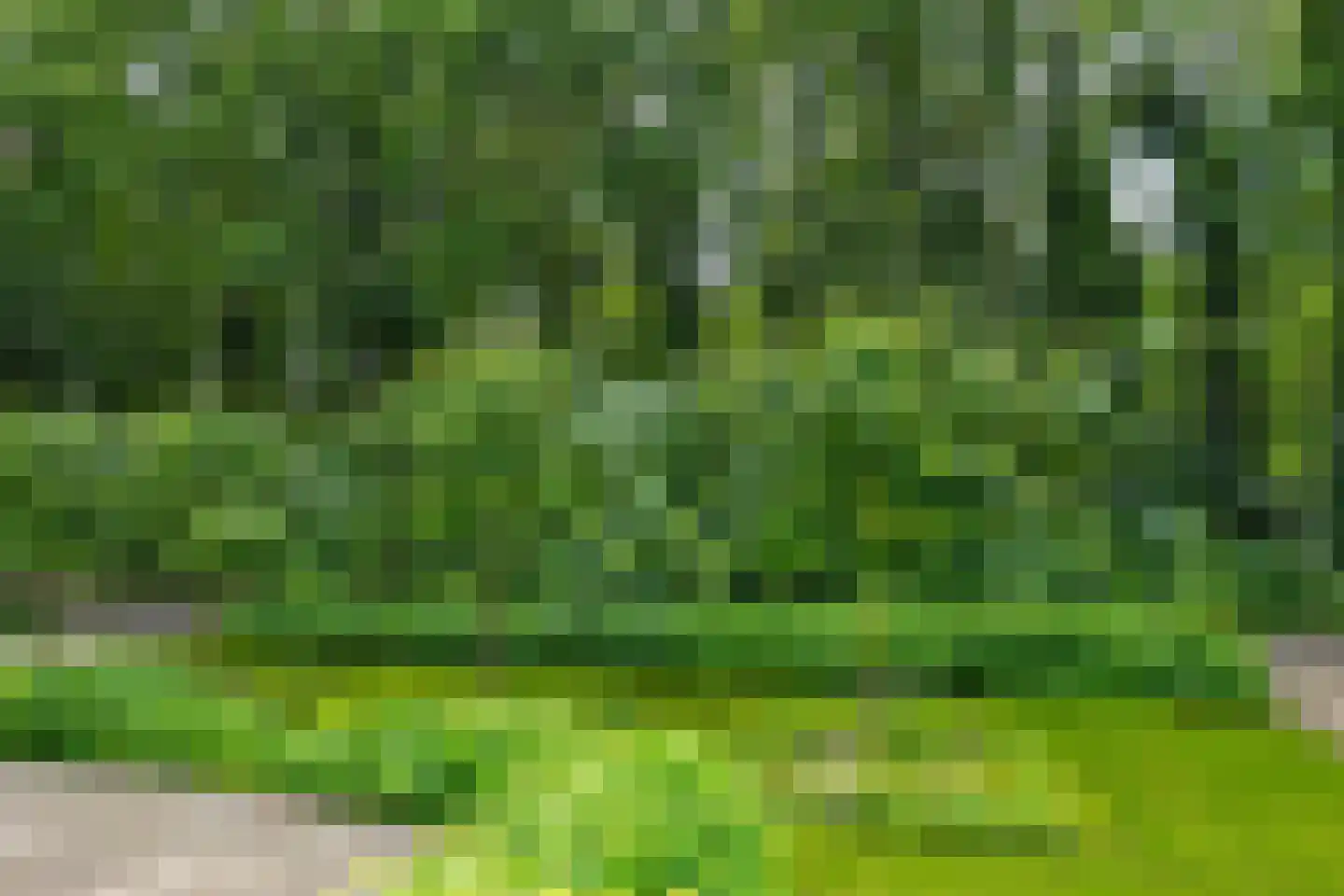de Gaarde 315 Doetinchem thumbnail 20