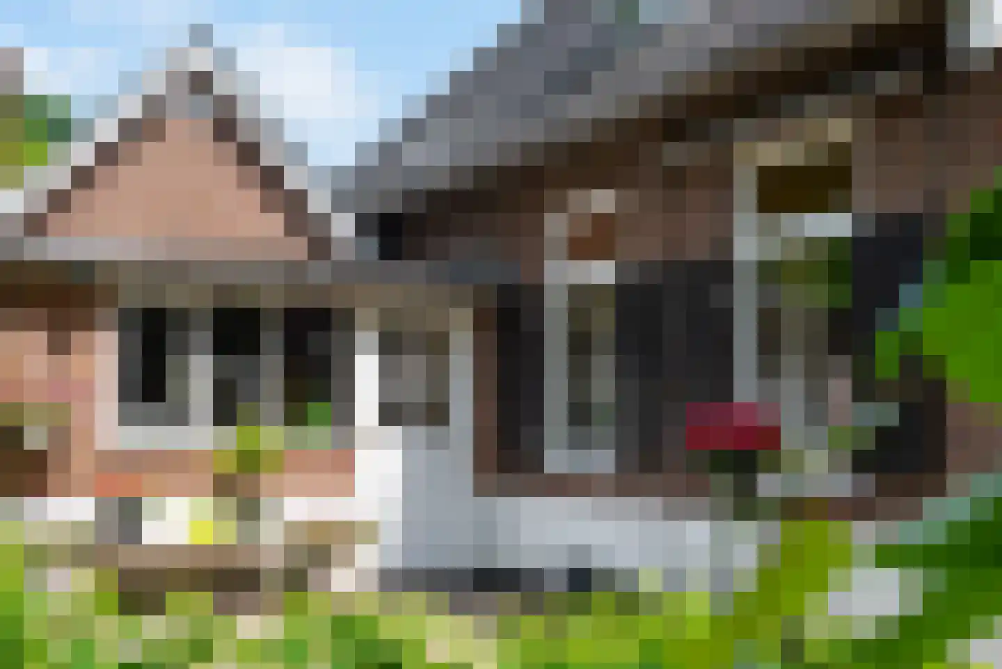 de Gaarde 315 Doetinchem thumbnail 22