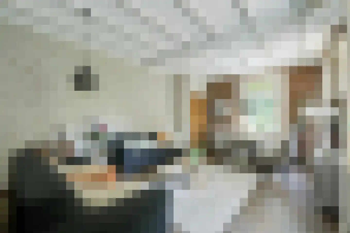 de Gaarde 315 Doetinchem thumbnail 24