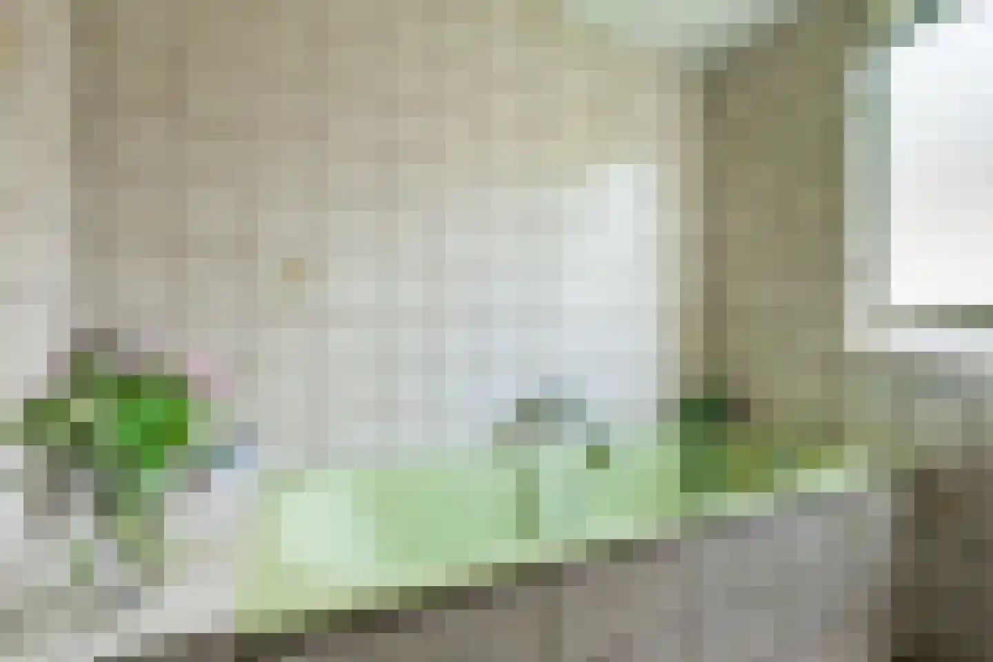 de Gaarde 315 Doetinchem thumbnail 37