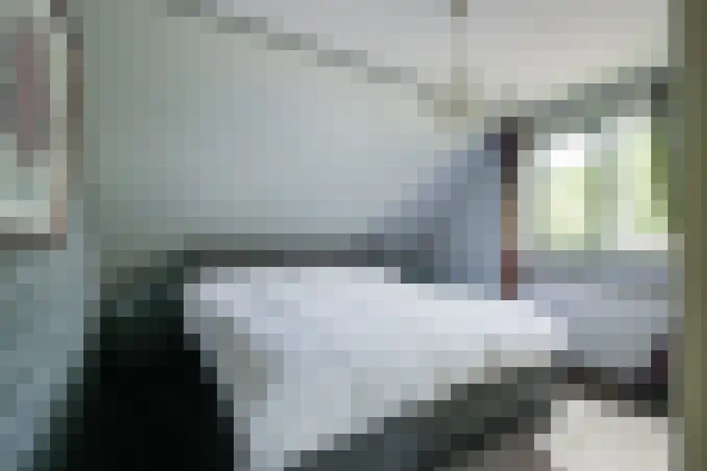 de Gaarde 315 Doetinchem thumbnail 43