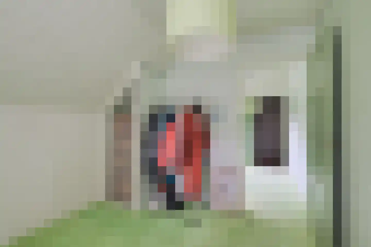 de Gaarde 315 Doetinchem thumbnail 49