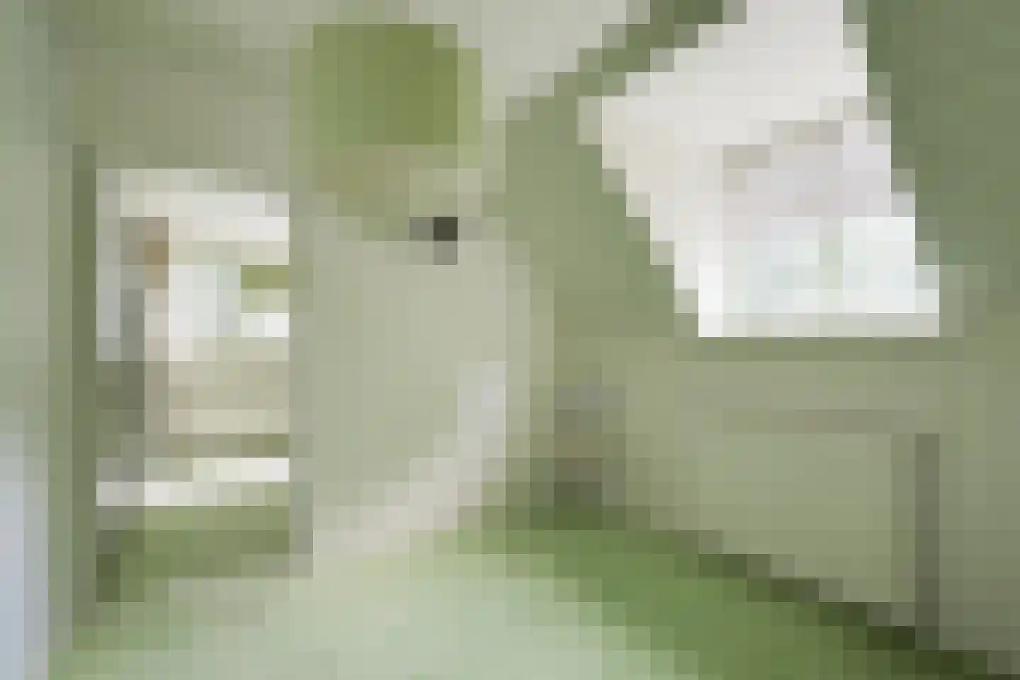 de Gaarde 315 Doetinchem thumbnail 50