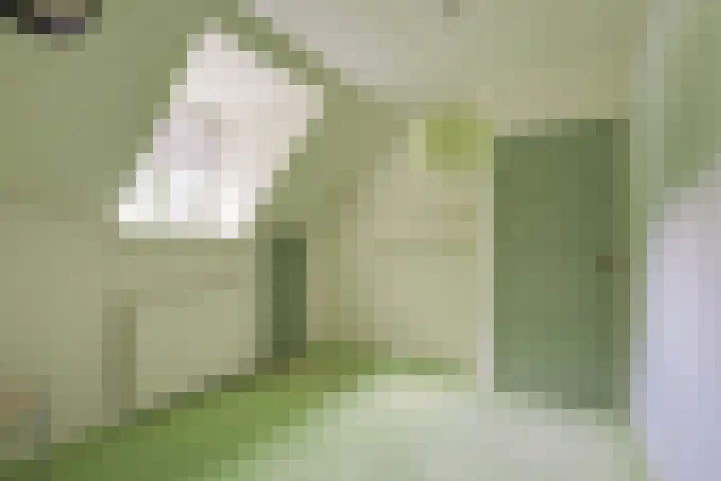 de Gaarde 315 Doetinchem thumbnail 51