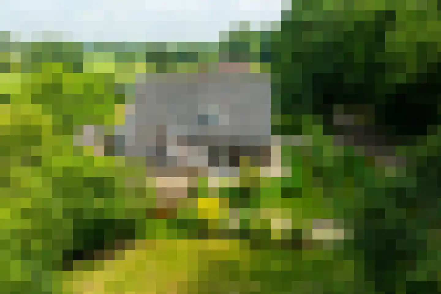 de Gaarde 315 Doetinchem thumbnail 56