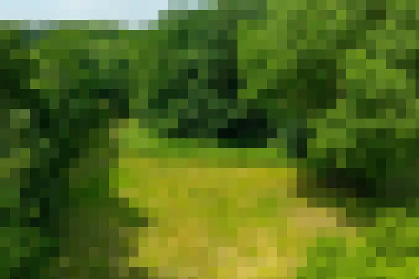 de Gaarde 315 Doetinchem thumbnail 57