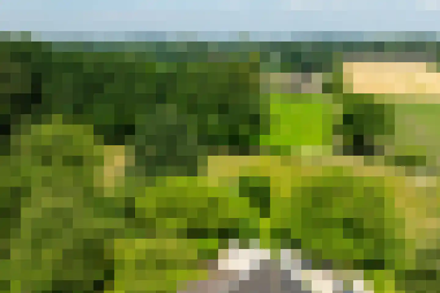 de Gaarde 315 Doetinchem thumbnail 58