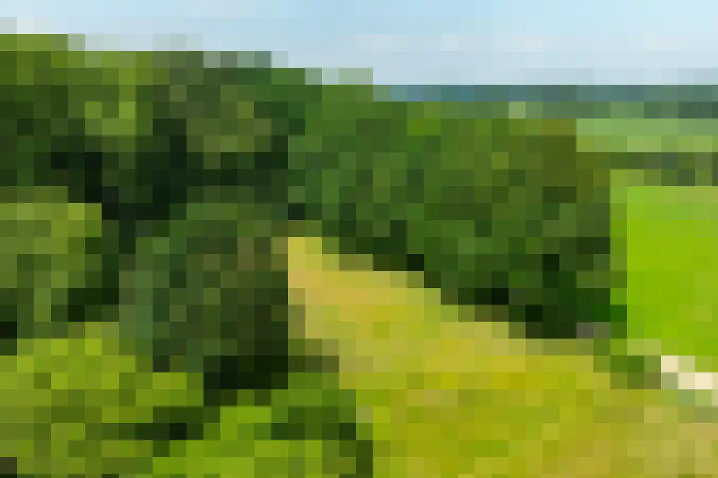 de Gaarde 315 Doetinchem thumbnail 59