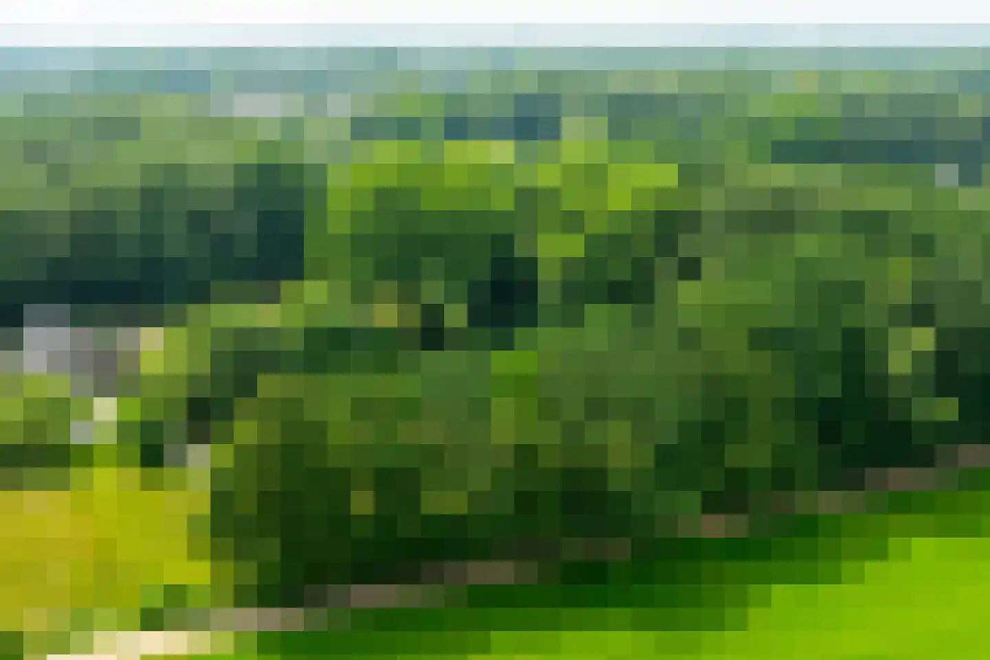 de Gaarde 315 Doetinchem thumbnail 61