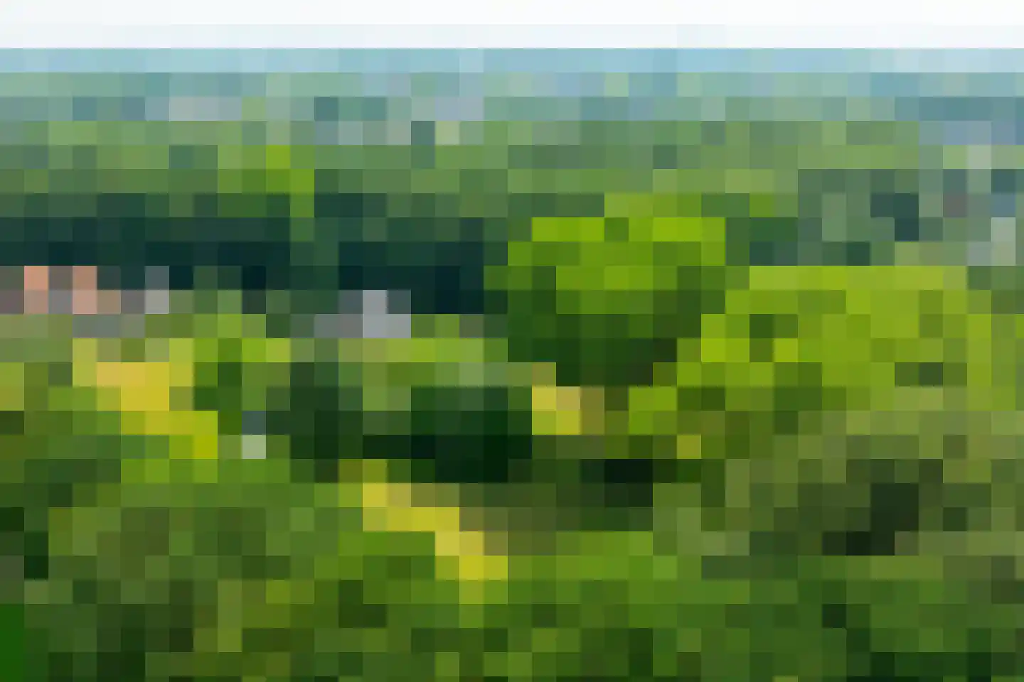 de Gaarde 315 Doetinchem thumbnail 63