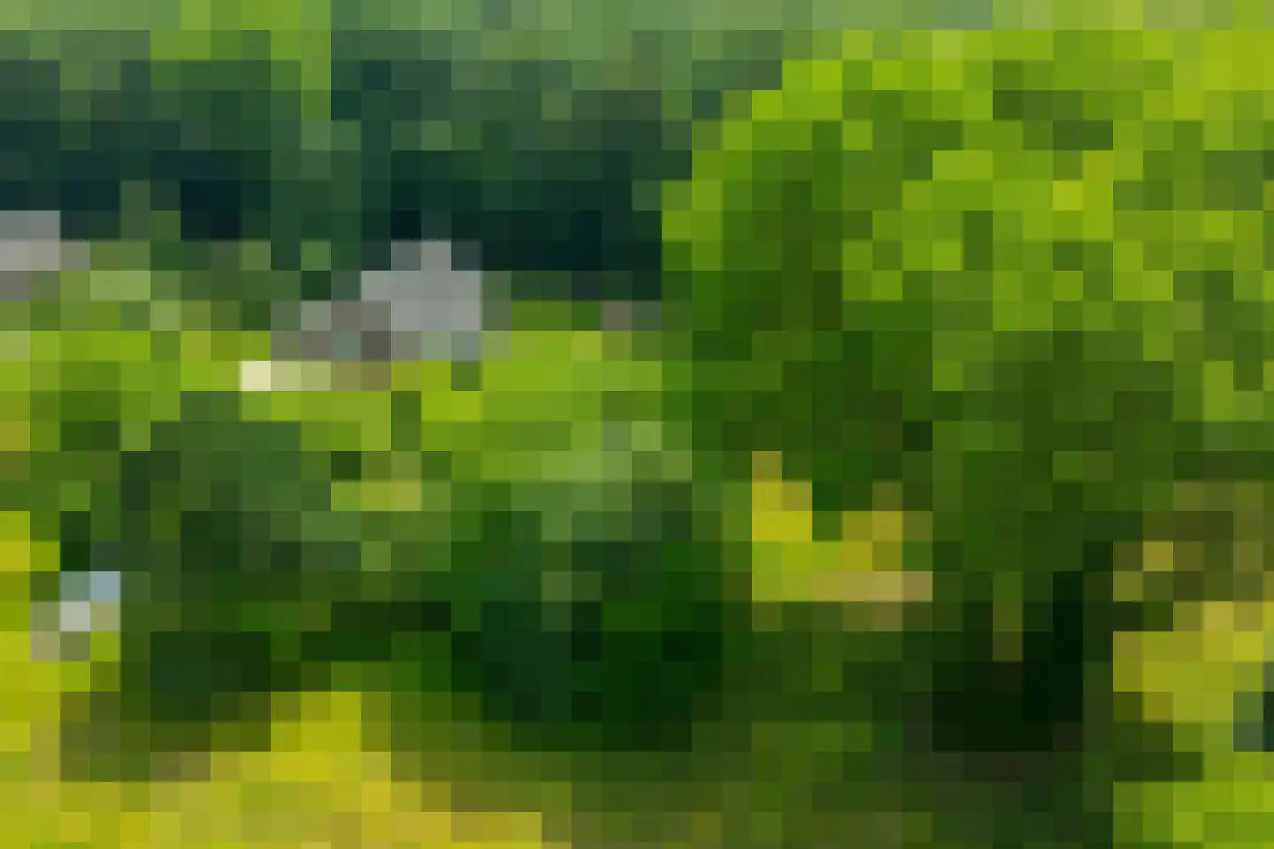 de Gaarde 315 Doetinchem thumbnail 64