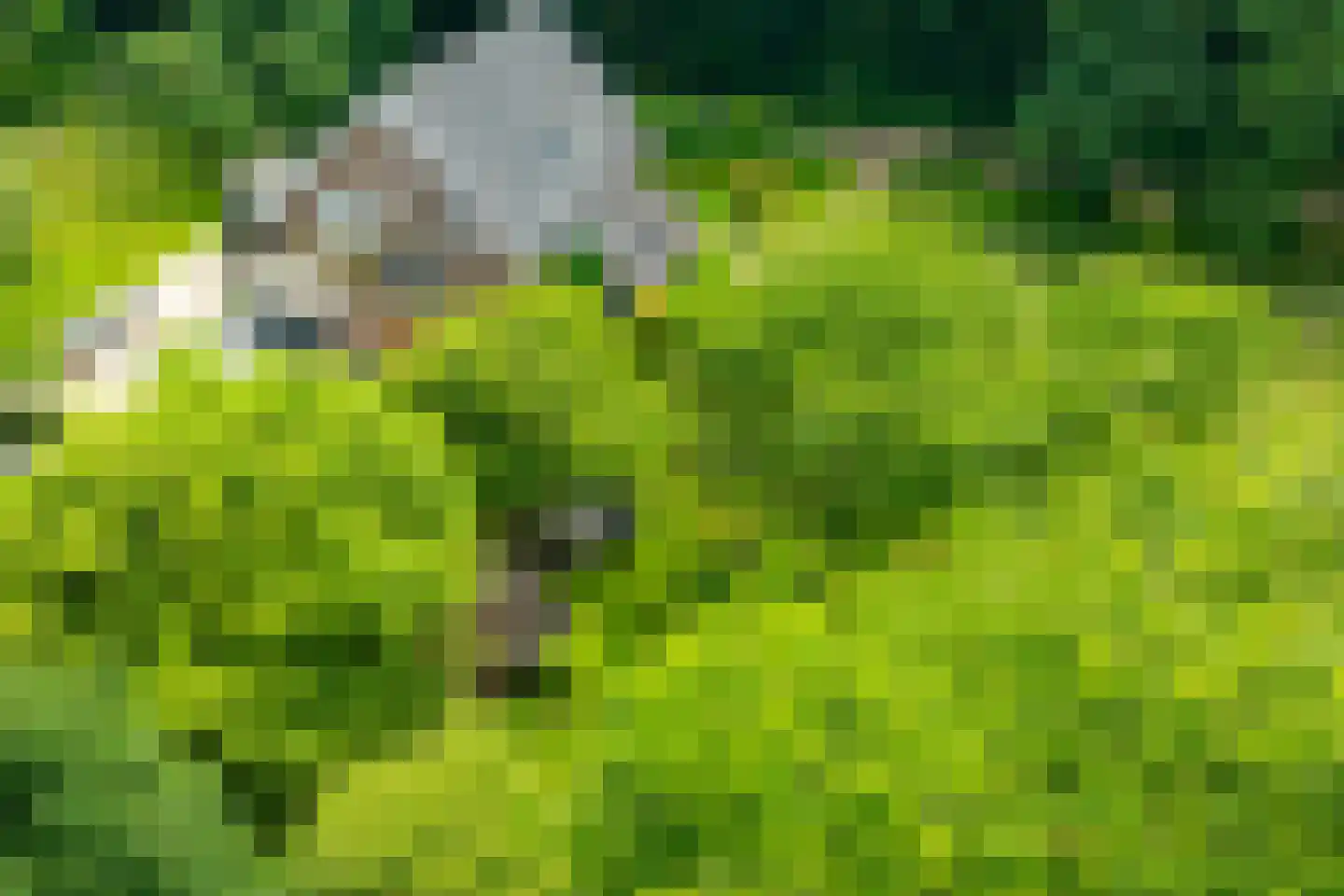 de Gaarde 315 Doetinchem thumbnail 65