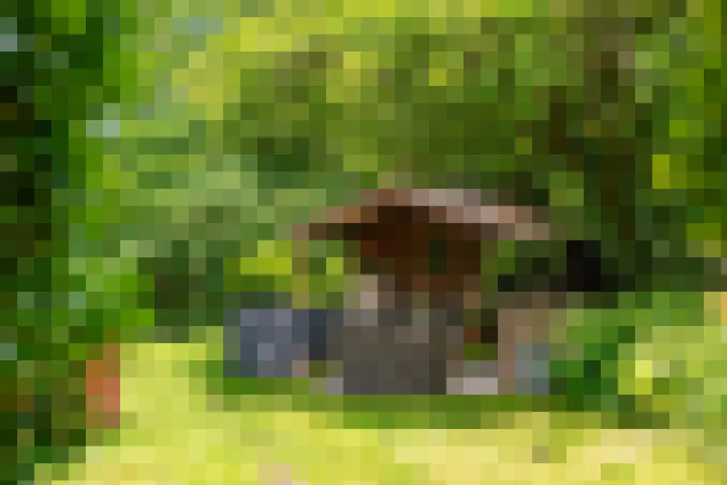 de Gaarde 315 Doetinchem thumbnail 66