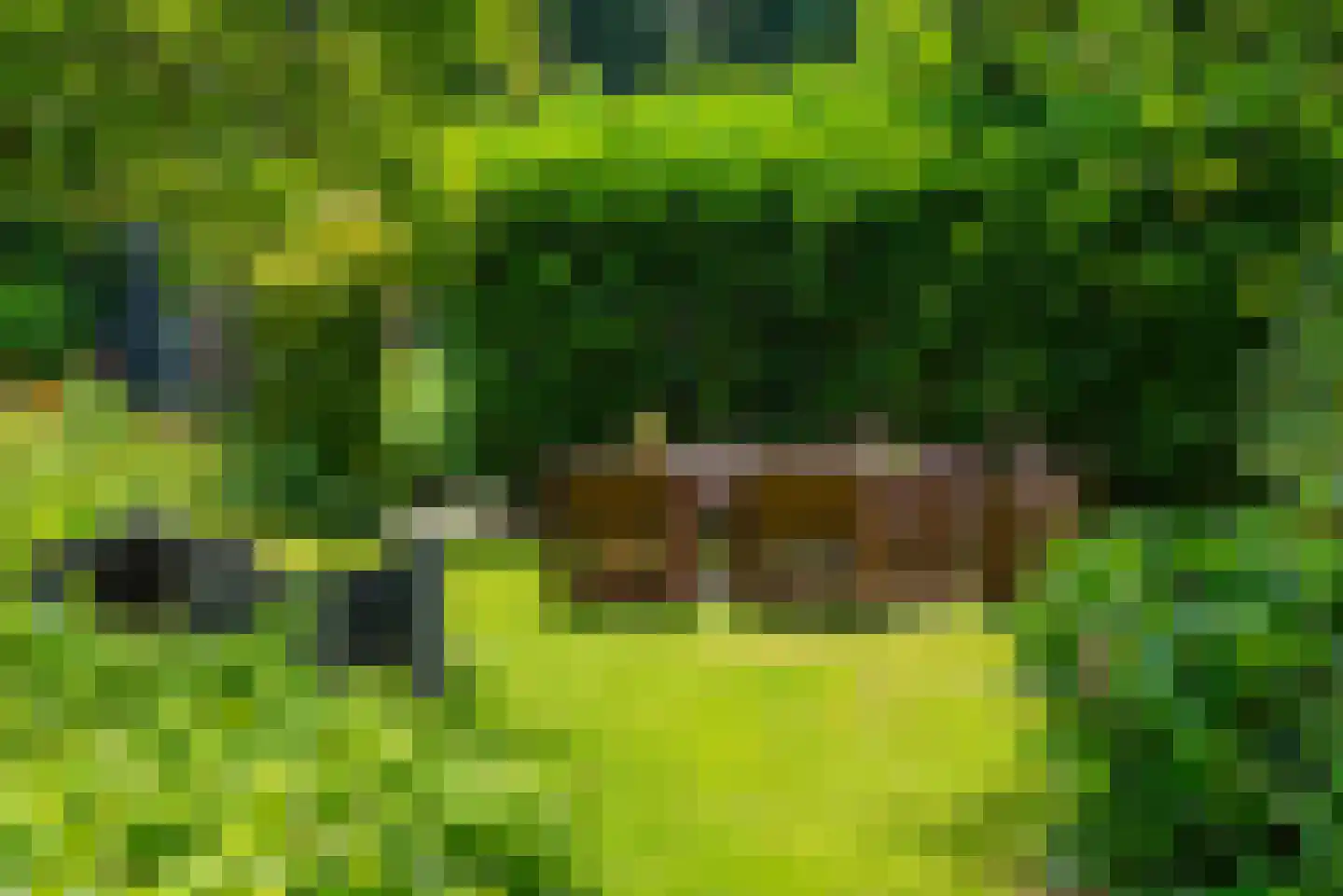 de Gaarde 315 Doetinchem thumbnail 67