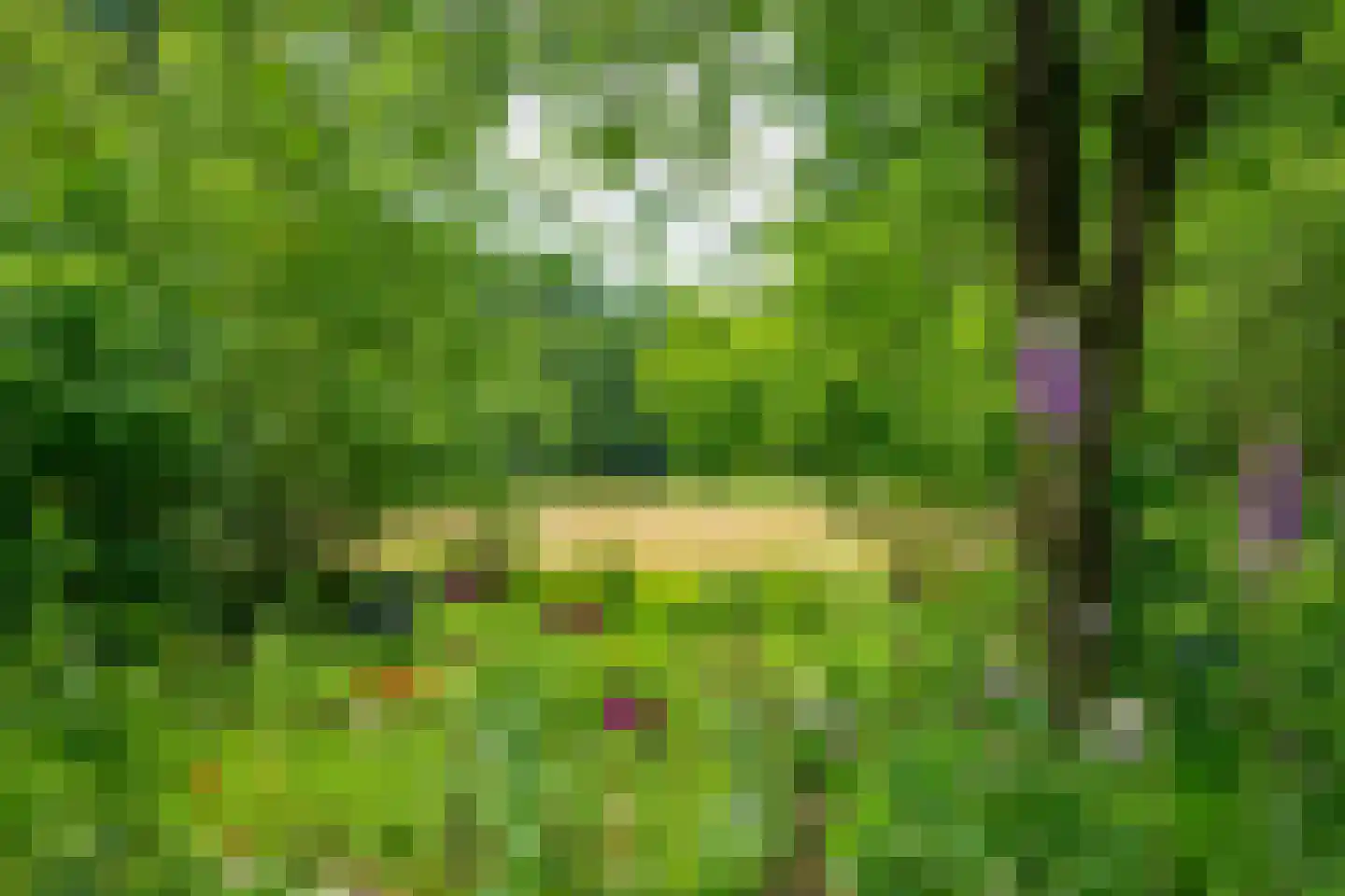de Gaarde 315 Doetinchem thumbnail 72