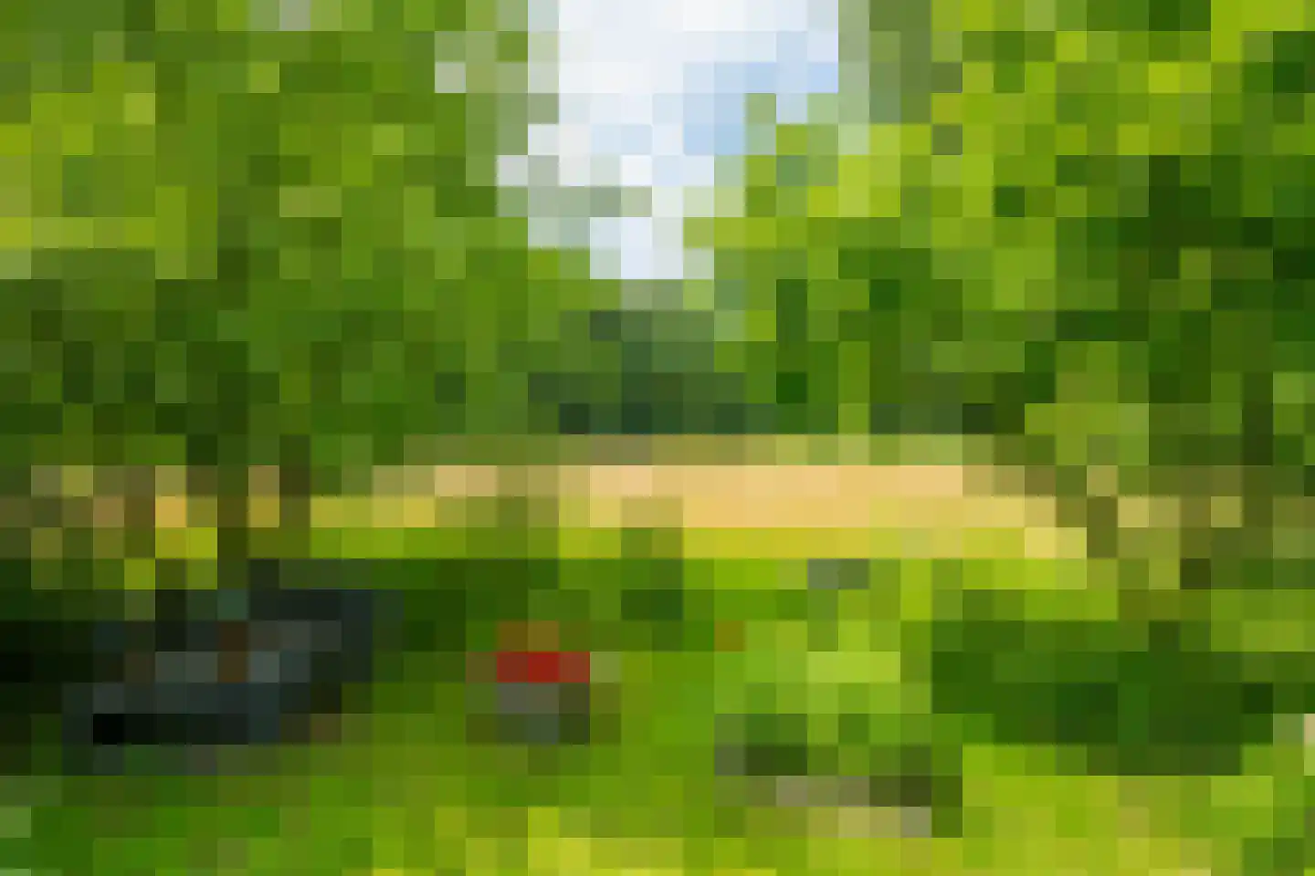 de Gaarde 315 Doetinchem thumbnail 73