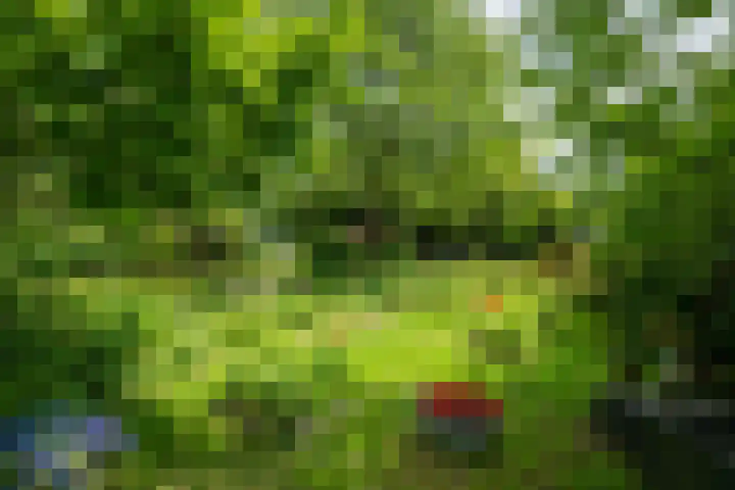de Gaarde 315 Doetinchem thumbnail 75