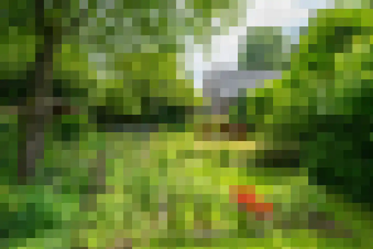 de Gaarde 315 Doetinchem thumbnail 76
